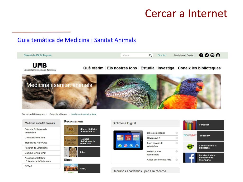 Cercar a Internet Guia temàtica de Medicina i Sanitat Animals