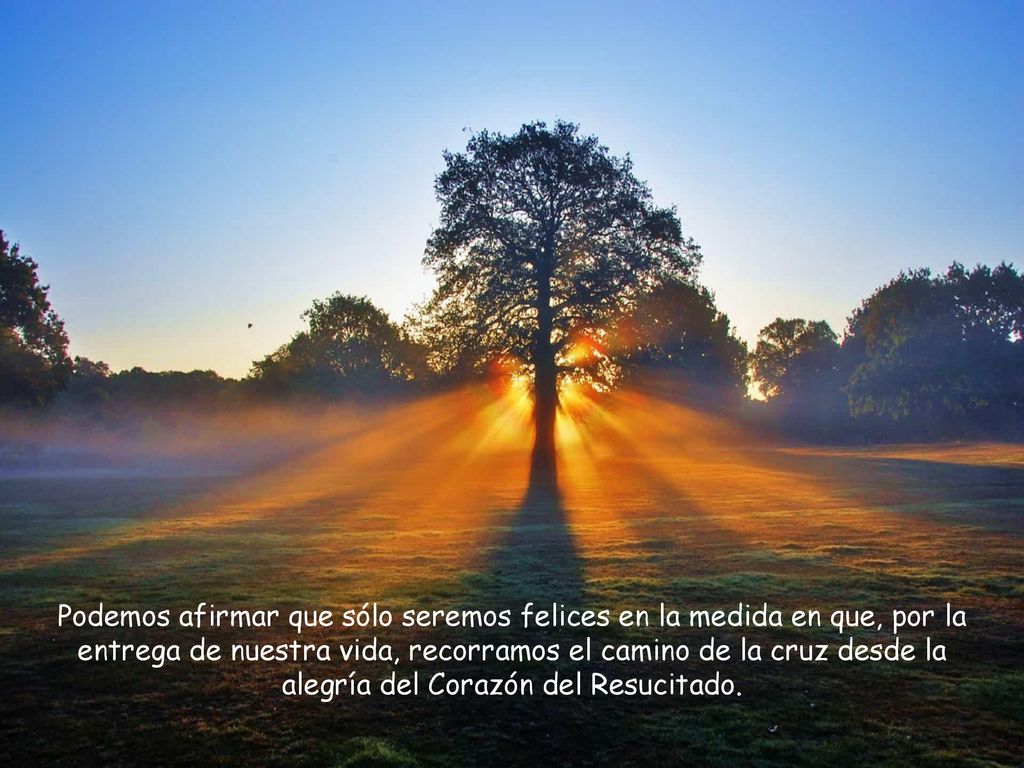 Podemos afirmar que sólo seremos felices en la medida en que, por la entrega de nuestra vida, recorramos el camino de la cruz desde la alegría del Corazón del Resucitado.