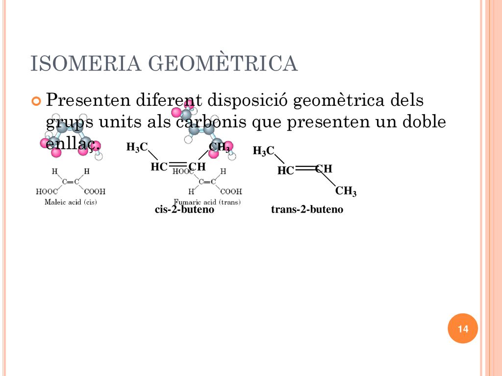 ISOMERIA GEOMÈTRICA Presenten diferent disposició geomètrica dels grups units als carbonis que presenten un doble enllaç.