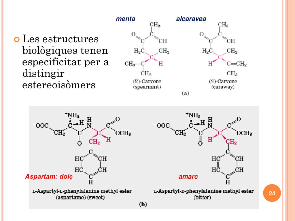 menta alcaravea. Les estructures biològiques tenen especificitat per a distingir estereoisòmers.
