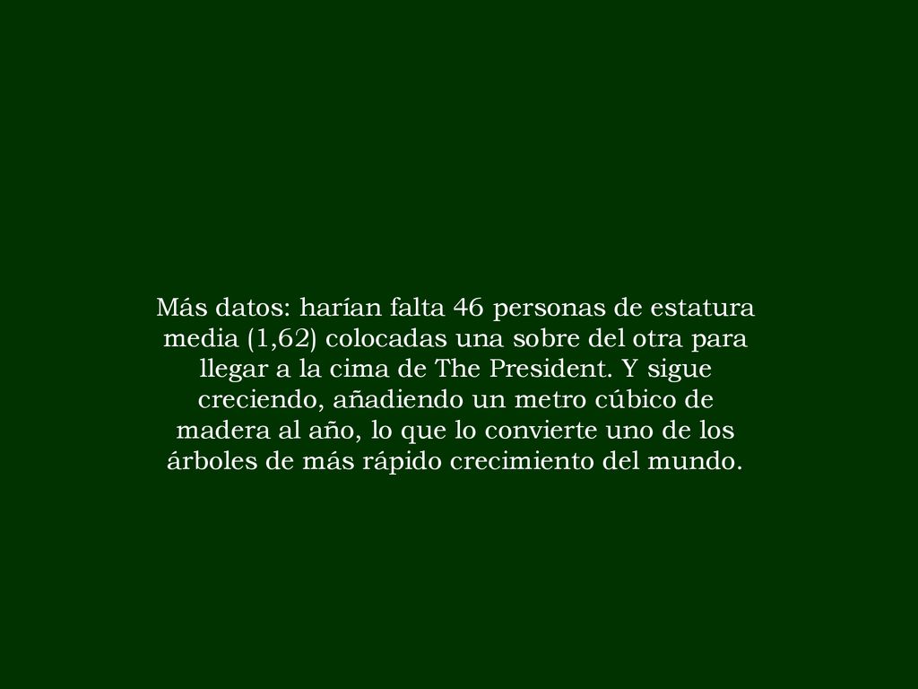 Más datos: harían falta 46 personas de estatura media (1,62) colocadas una sobre del otra para llegar a la cima de The President.
