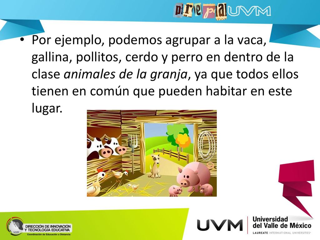 Por ejemplo, podemos agrupar a la vaca, gallina, pollitos, cerdo y perro en dentro de la clase animales de la granja, ya que todos ellos tienen en común que pueden habitar en este lugar.