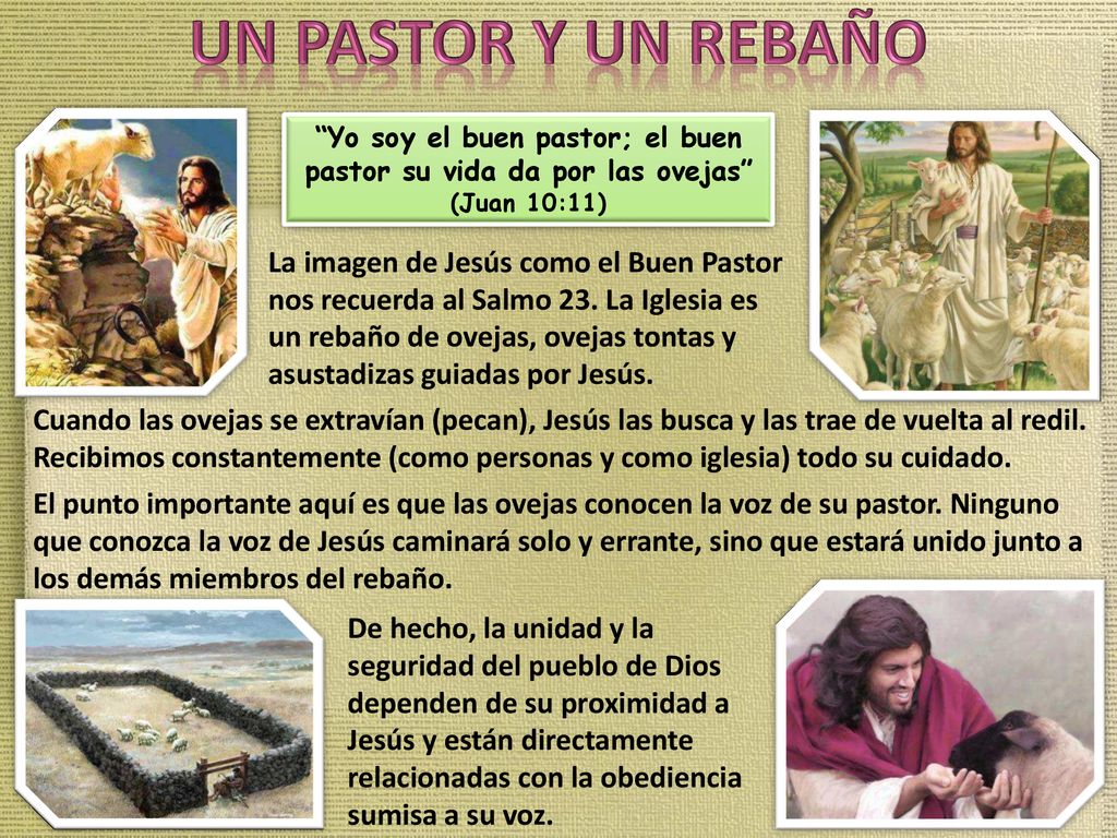 UN PASTOR Y UN REBAÑO Yo soy el buen pastor; el buen pastor su vida da por las ovejas (Juan 10:11)