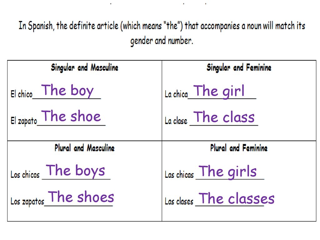 The boy The girl The shoe The class The boys The girls The shoes The classes