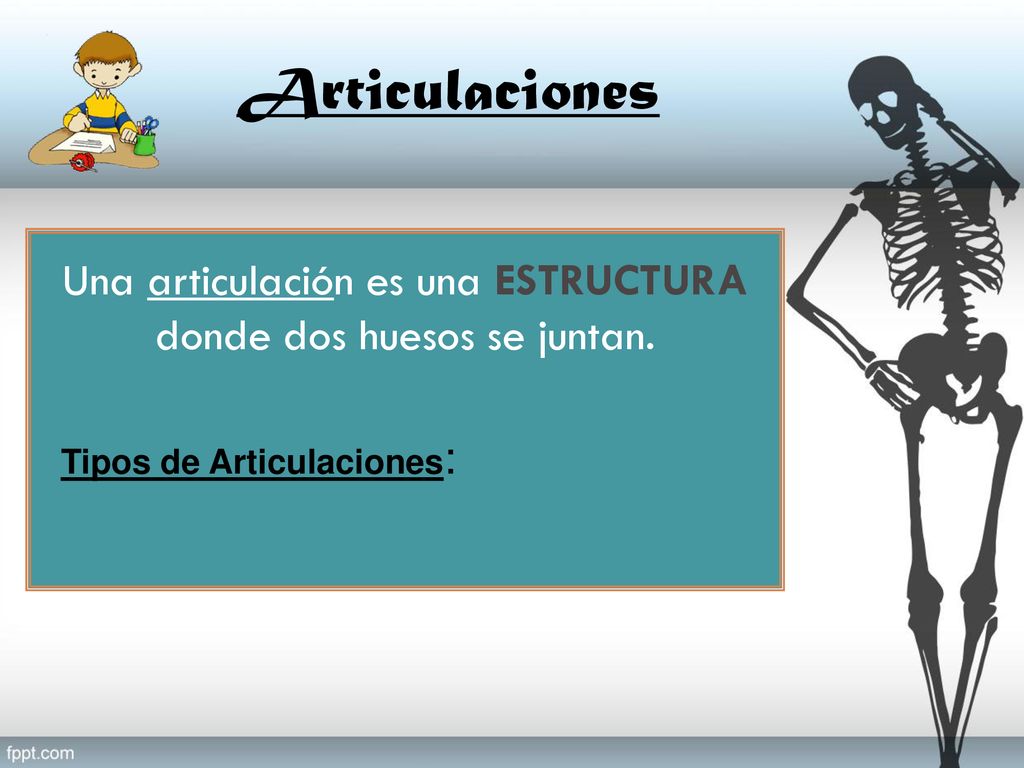 Una articulación es una ESTRUCTURA donde dos huesos se juntan.