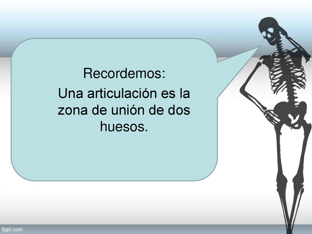 Recordemos: Una articulación es la zona de unión de dos huesos.