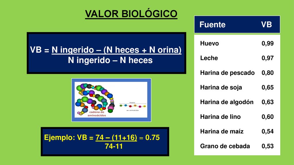 VALOR BIOLÓGICO VB = N ingerido – (N heces + N orina)