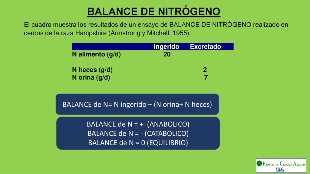 BALANCE DE NITRÓGENO BALANCE de N= N ingerido – (N orina+ N heces)