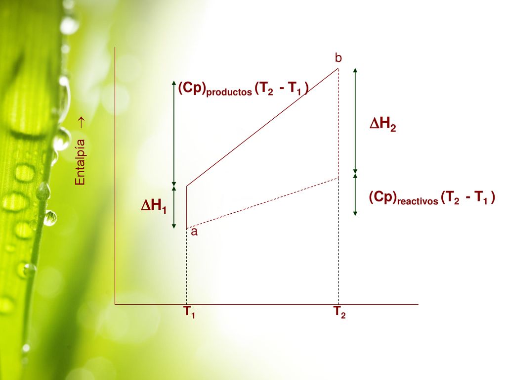 DH2 DH1 (Cp)productos (T2 - T1 ) (Cp)reactivos (T2 - T1 ) b Entalpía 