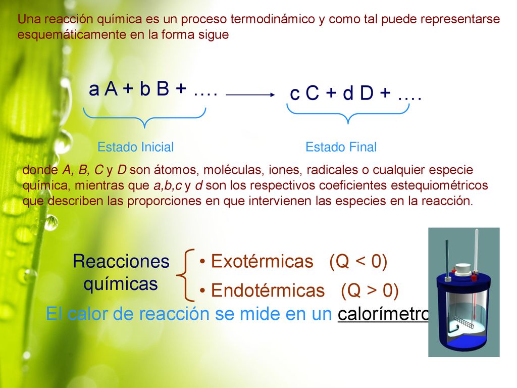 Una reacción química es un proceso termodinámico y como tal puede representarse esquemáticamente en la forma sigue