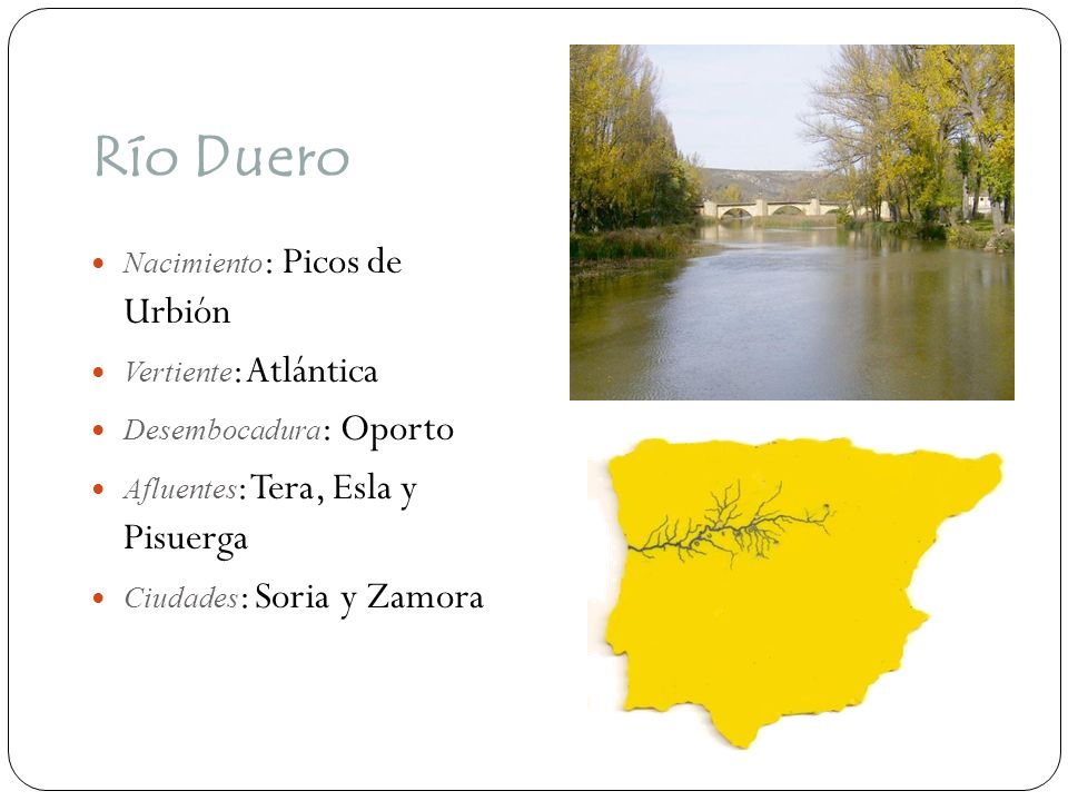 Río Duero Nacimiento: Picos de Urbión Vertiente: Atlántica