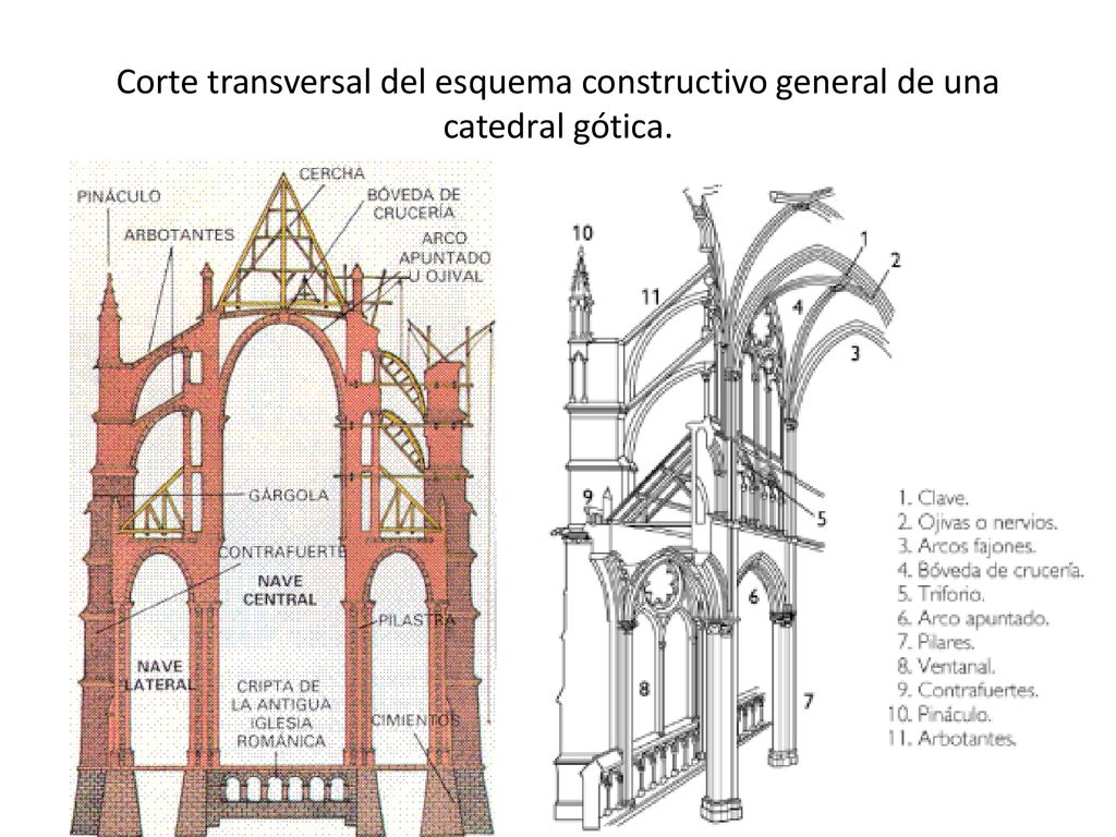 Corte transversal del esquema constructivo general de una catedral gótica.
