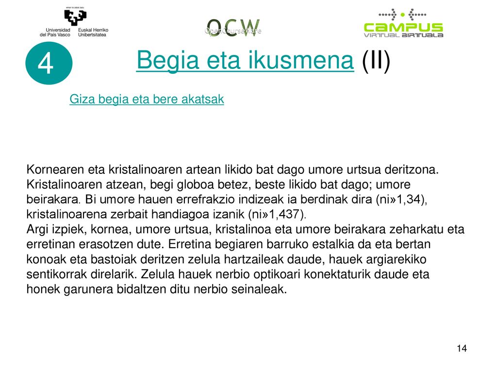 4 Begia eta ikusmena (II) Giza begia eta bere akatsak