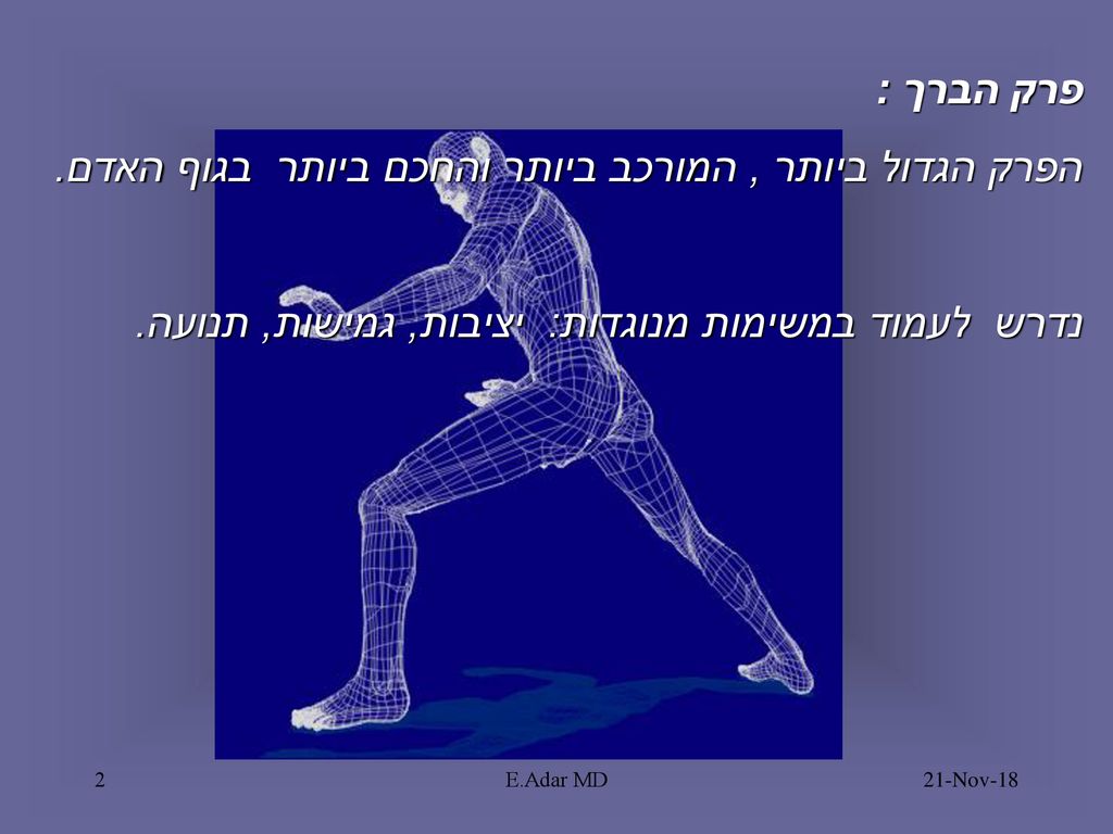 הפרק הגדול ביותר , המורכב ביותר והחכם ביותר בגוף האדם.