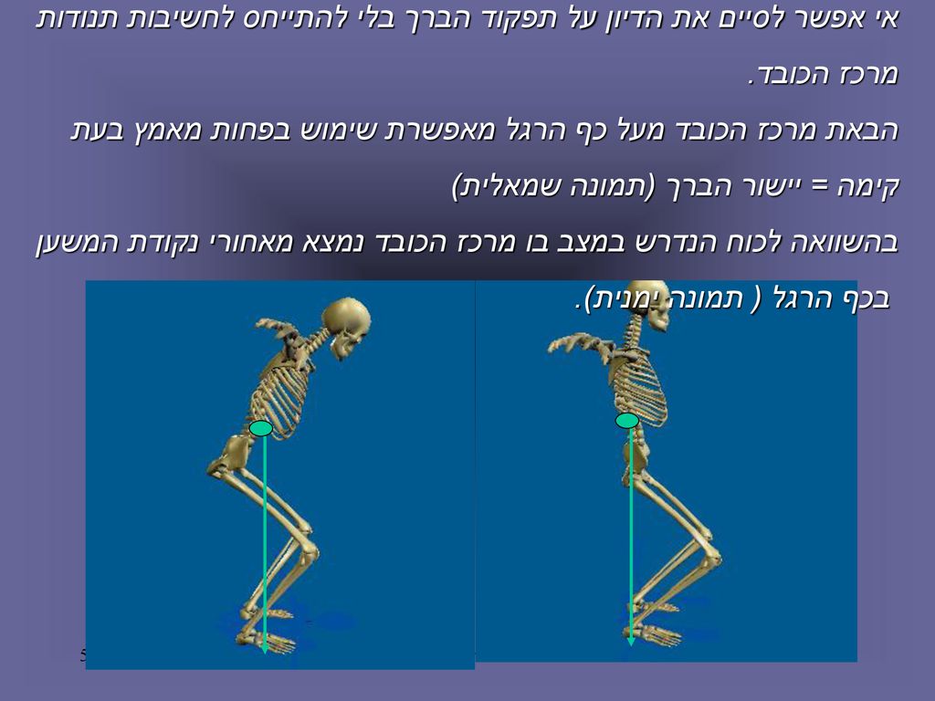 אי אפשר לסיים את הדיון על תפקוד הברך בלי להתייחס לחשיבות תנודות