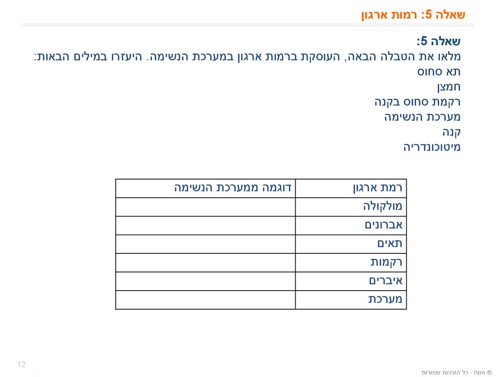 שאלה 5: רמות ארגון שאלה 5: מלאו את הטבלה הבאה, העוסקת ברמות ארגון במערכת הנשימה. היעזרו במילים הבאות: