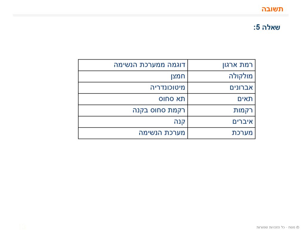 תשובה שאלה 5: רמת ארגון. דוגמה ממערכת הנשימה. מולקולה. חמצן. אברונים. מיטוכונדריה. תאים. תא סחוס.