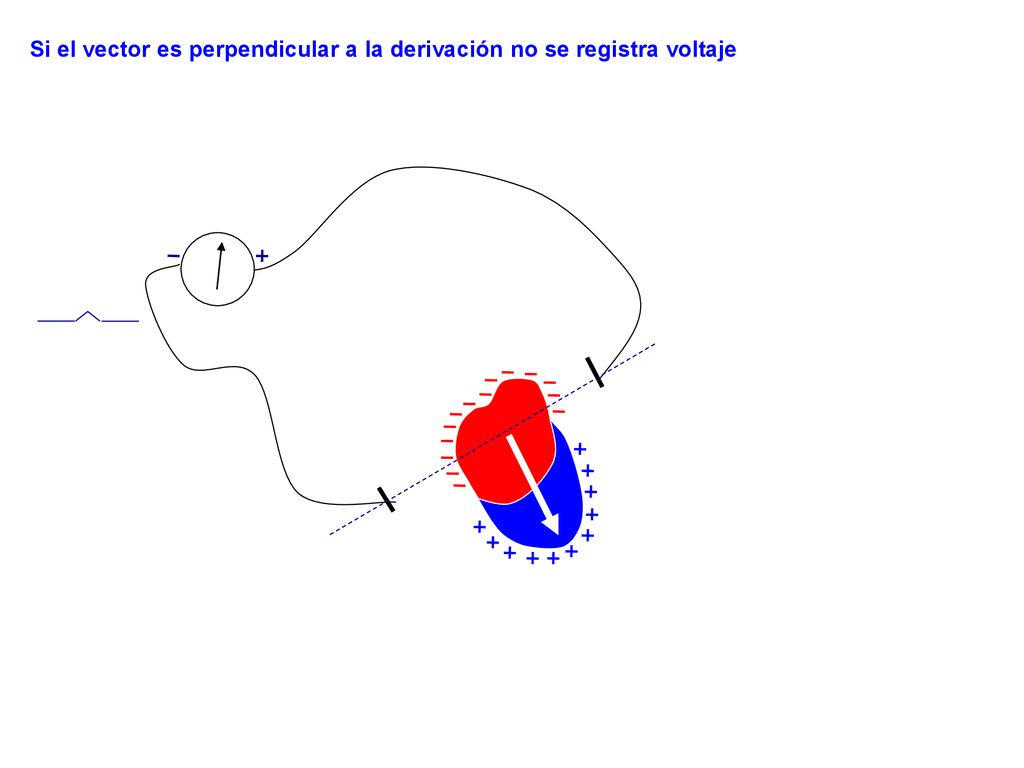 Si el vector es perpendicular a la derivación no se registra voltaje
