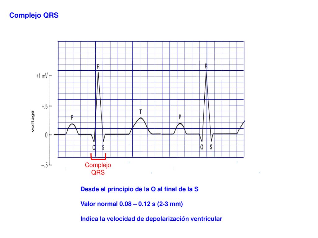 Complejo QRS Complejo QRS Desde el principio de la Q al final de la S