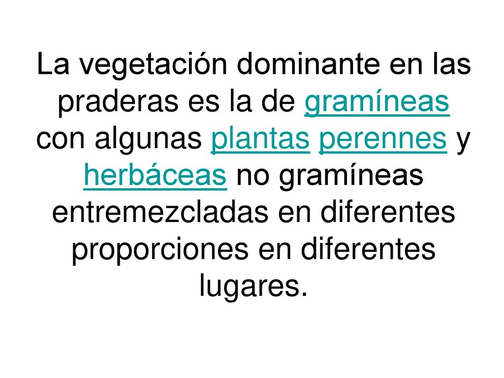 La vegetación dominante en las praderas es la de gramíneas con algunas plantas perennes y herbáceas no gramíneas entremezcladas en diferentes proporciones en diferentes lugares.