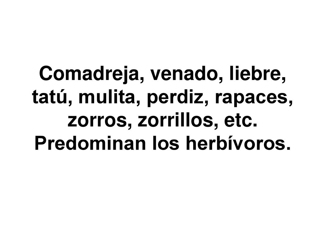 Comadreja, venado, liebre, tatú, mulita, perdiz, rapaces, zorros, zorrillos, etc.