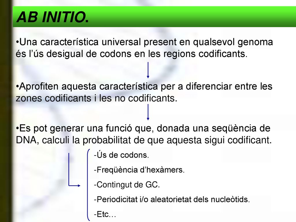 AB INITIO. Una característica universal present en qualsevol genoma és l’ús desigual de codons en les regions codificants.