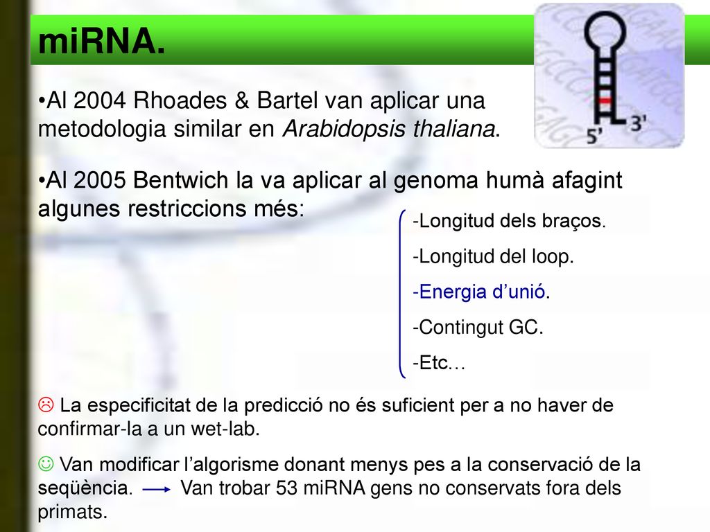 miRNA. Al 2004 Rhoades & Bartel van aplicar una metodologia similar en Arabidopsis thaliana.