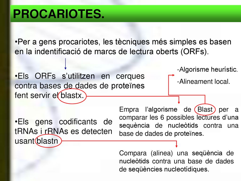 PROCARIOTES. Per a gens procariotes, les tècniques més simples es basen en la indentificació de marcs de lectura oberts (ORFs).