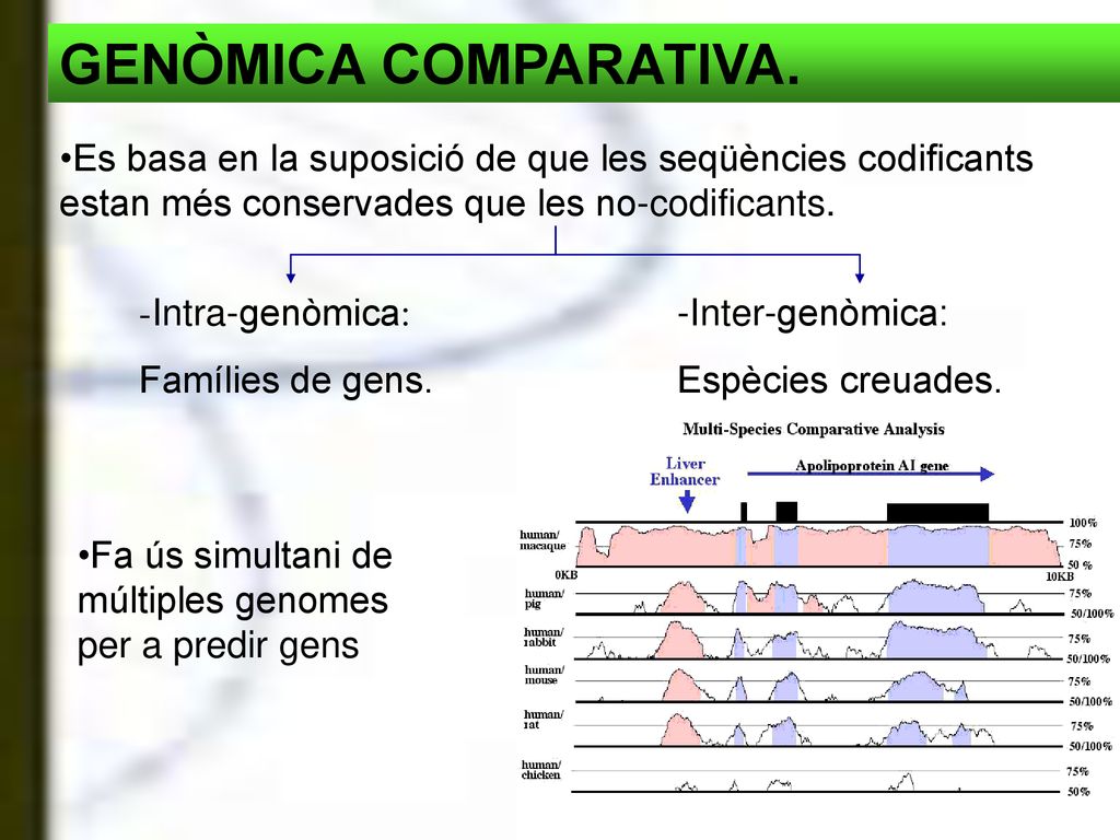 GENÒMICA COMPARATIVA. Es basa en la suposició de que les seqüències codificants estan més conservades que les no-codificants.
