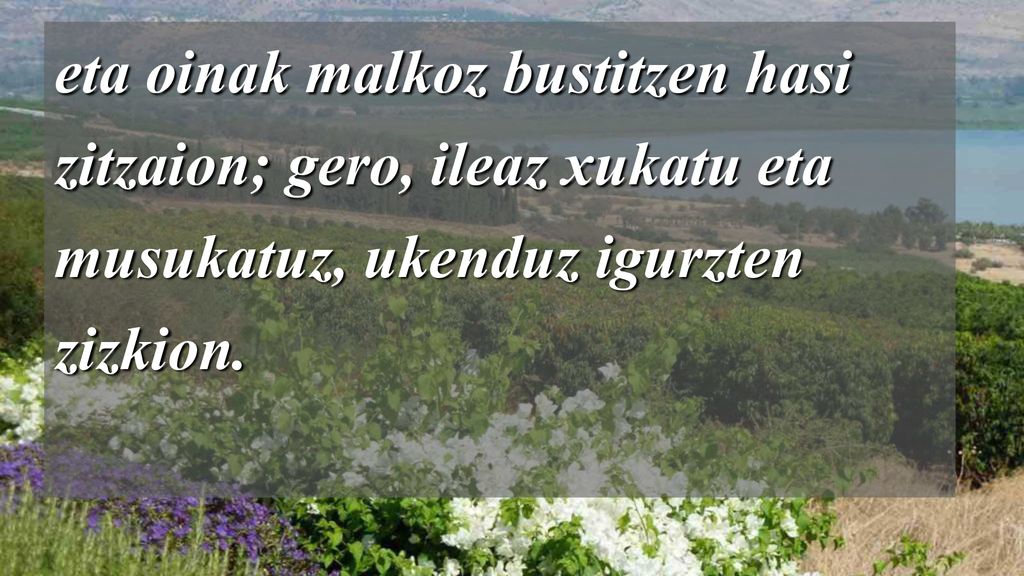 eta oinak malkoz bustitzen hasi zitzaion; gero, ileaz xukatu eta musukatuz, ukenduz igurzten zizkion.