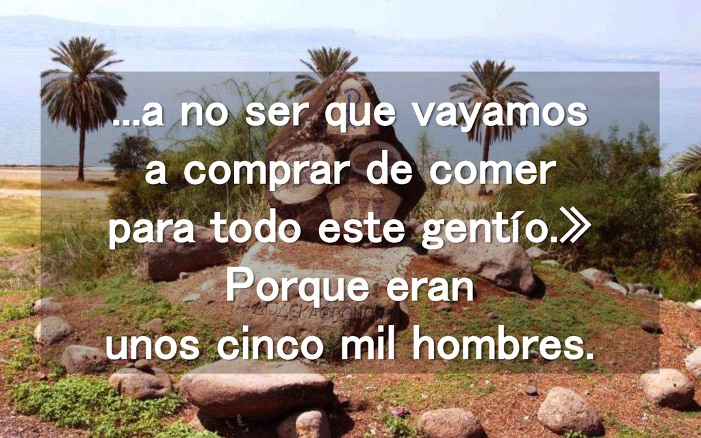 a no ser que vayamos a comprar de comer para todo este gentío