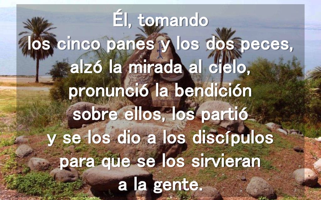 Él, tomando los cinco panes y los dos peces, alzó la mirada al cielo, pronunció la bendición sobre ellos, los partió y se los dio a los discípulos para que se los sirvieran a la gente.