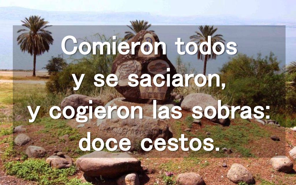Comieron todos y se saciaron, y cogieron las sobras: doce cestos.