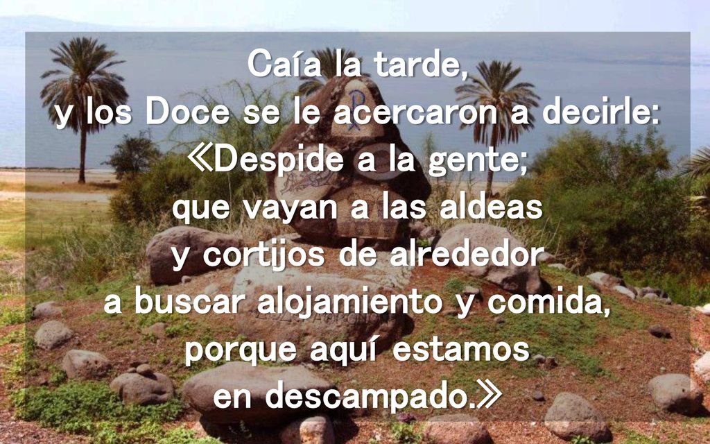 Caía la tarde, y los Doce se le acercaron a decirle: «Despide a la gente; que vayan a las aldeas y cortijos de alrededor a buscar alojamiento y comida, porque aquí estamos en descampado.»