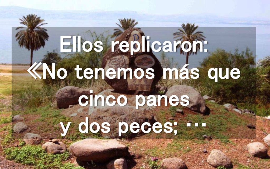 Ellos replicaron: «No tenemos más que cinco panes y dos peces; …