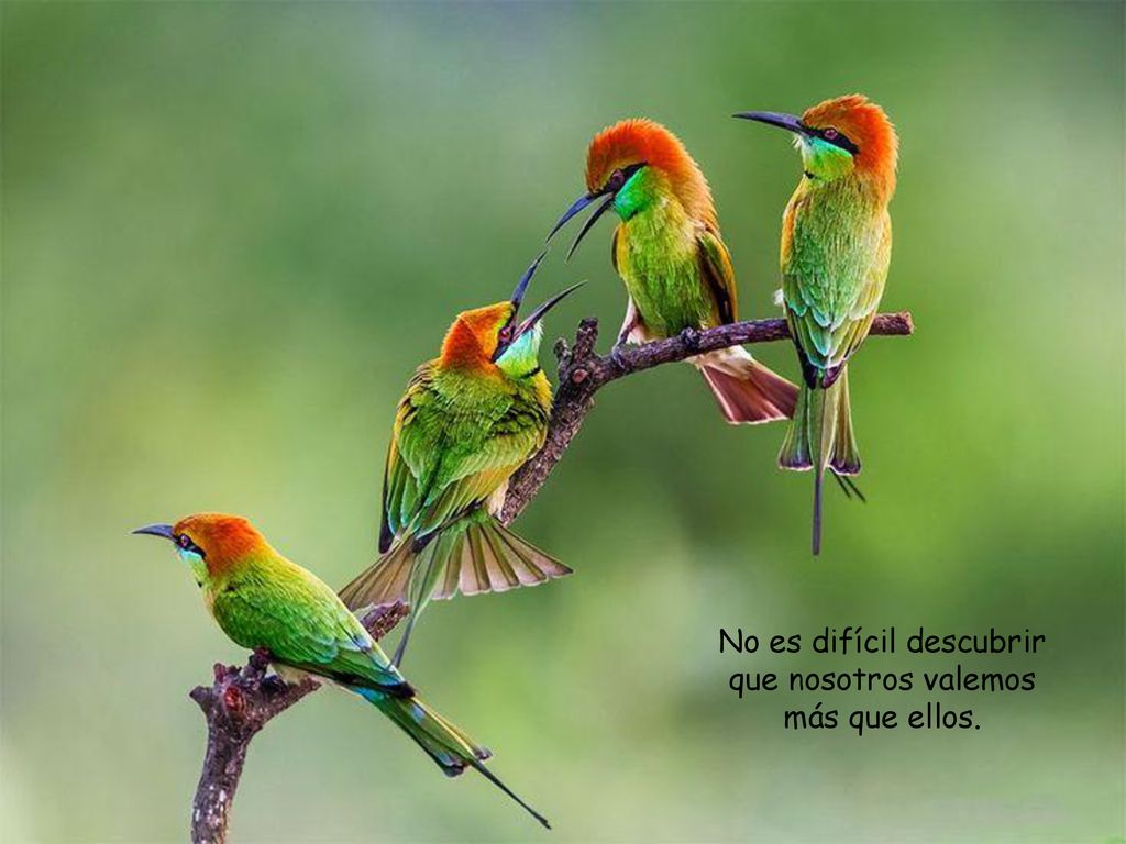 No es difícil descubrir que nosotros valemos más que ellos.