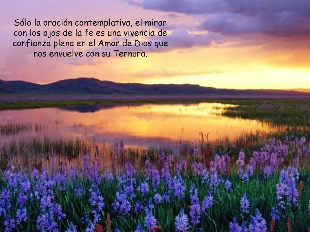 Sólo la oración contemplativa, el mirar con los ojos de la fe es una vivencia de confianza plena en el Amor de Dios que nos envuelve con su Ternura.