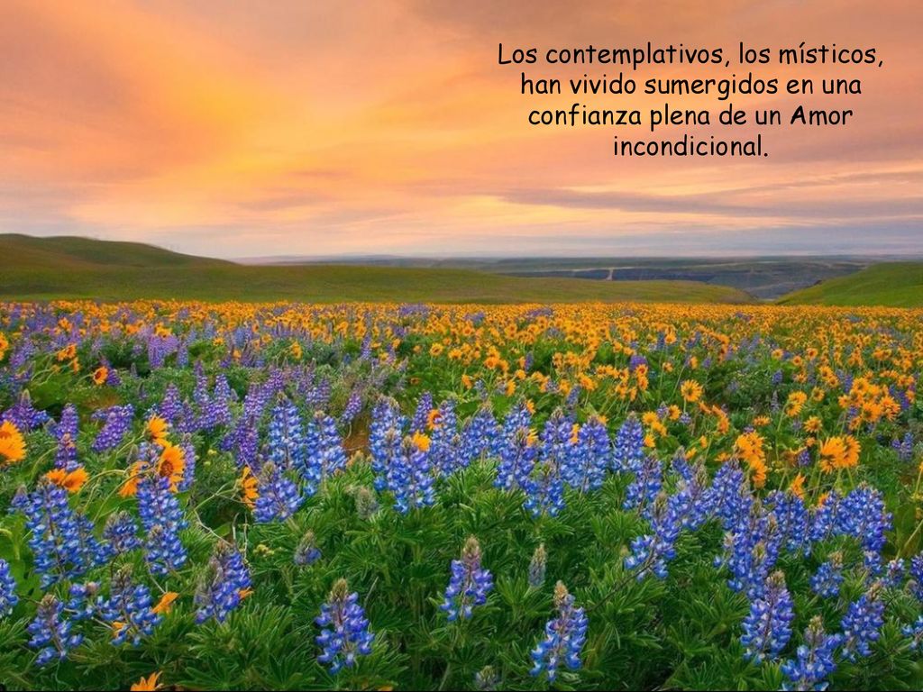 Los contemplativos, los místicos, han vivido sumergidos en una confianza plena de un Amor incondicional.