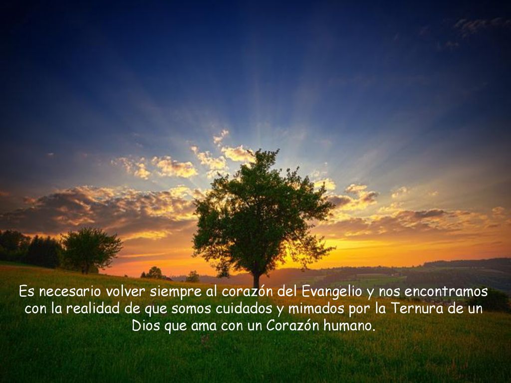 Es necesario volver siempre al corazón del Evangelio y nos encontramos con la realidad de que somos cuidados y mimados por la Ternura de un Dios que ama con un Corazón humano.