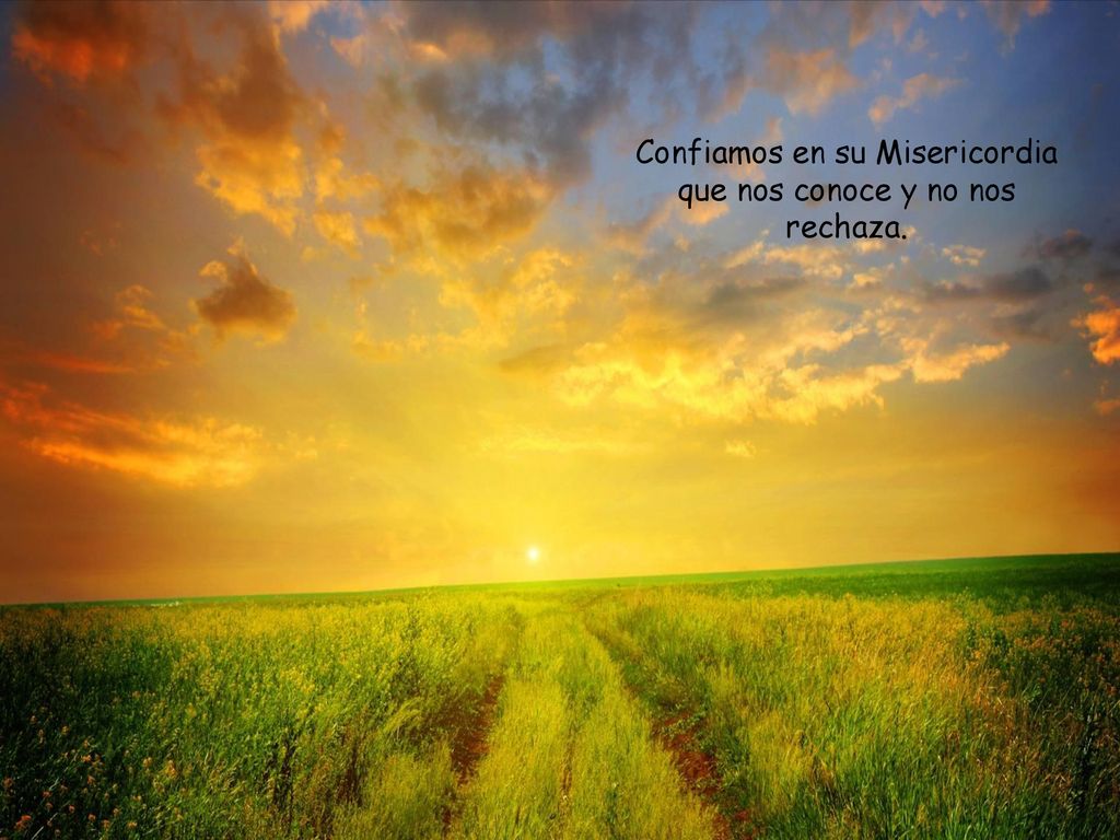 Confiamos en su Misericordia que nos conoce y no nos rechaza.