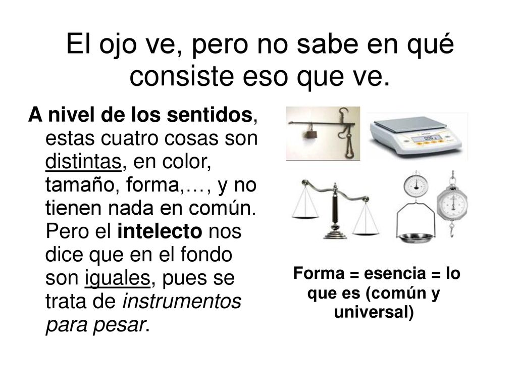 El ojo ve, pero no sabe en qué consiste eso que ve.