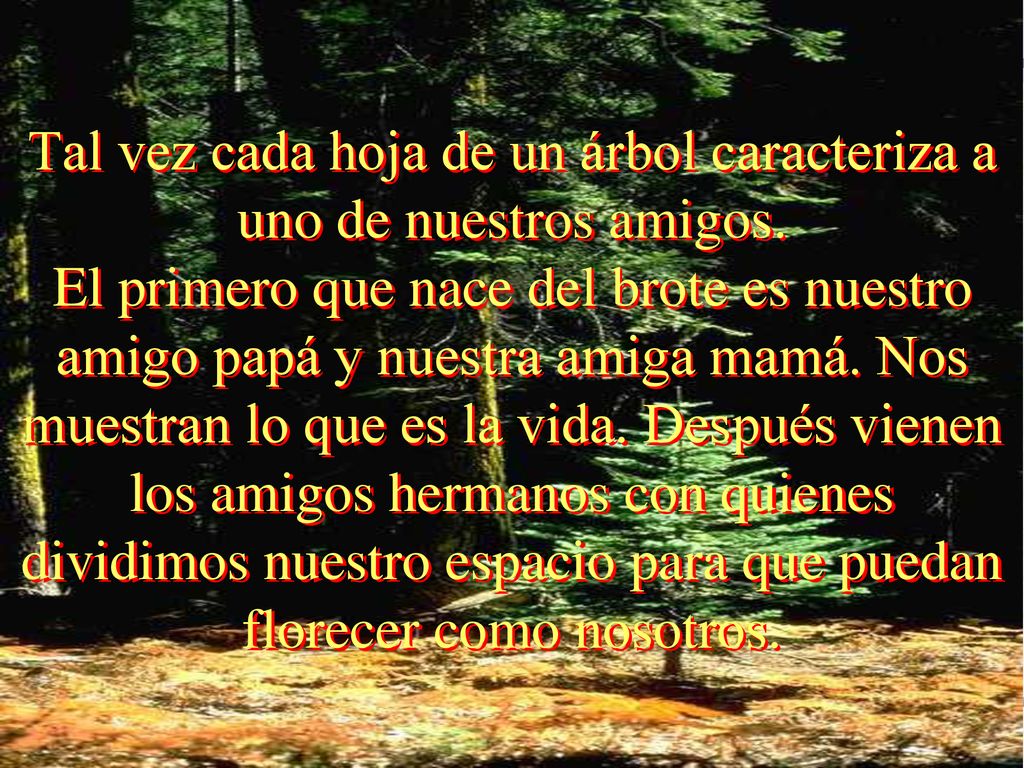 Tal vez cada hoja de un árbol caracteriza a uno de nuestros amigos