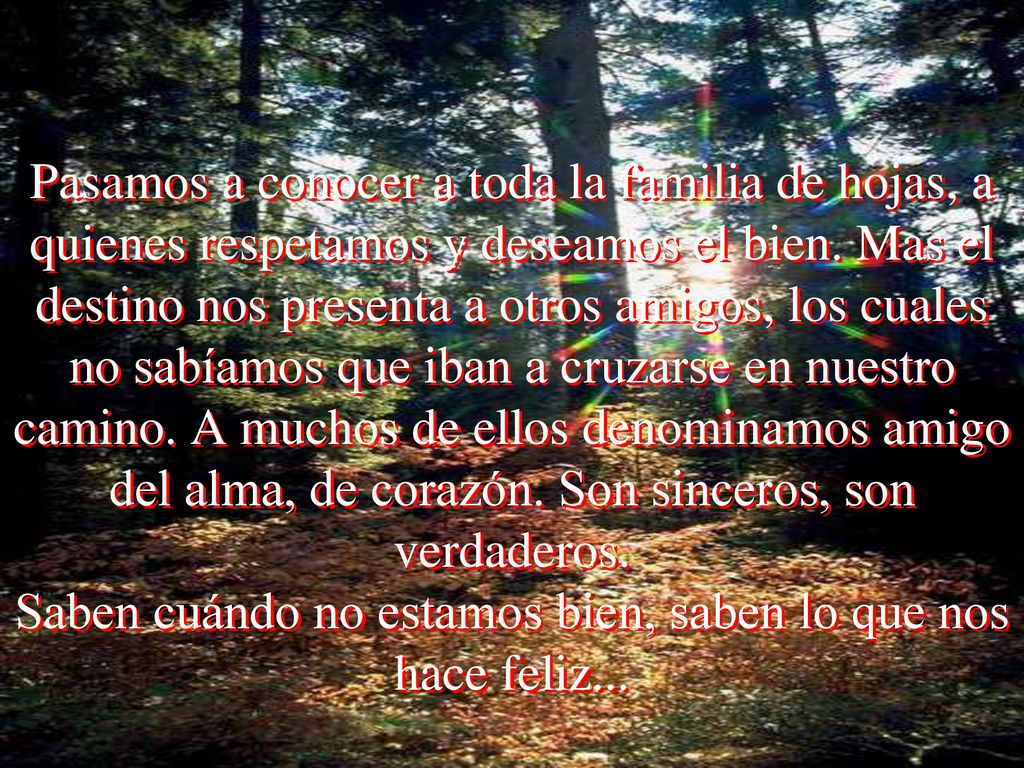 Pasamos a conocer a toda la familia de hojas, a quienes respetamos y deseamos el bien.