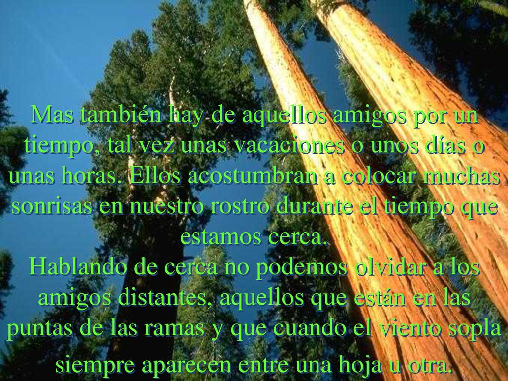 Mas también hay de aquellos amigos por un tiempo, tal vez unas vacaciones o unos días o unas horas.