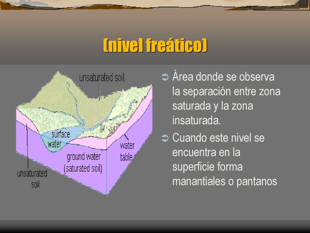 (nivel freático) Área donde se observa la separación entre zona saturada y la zona insaturada.