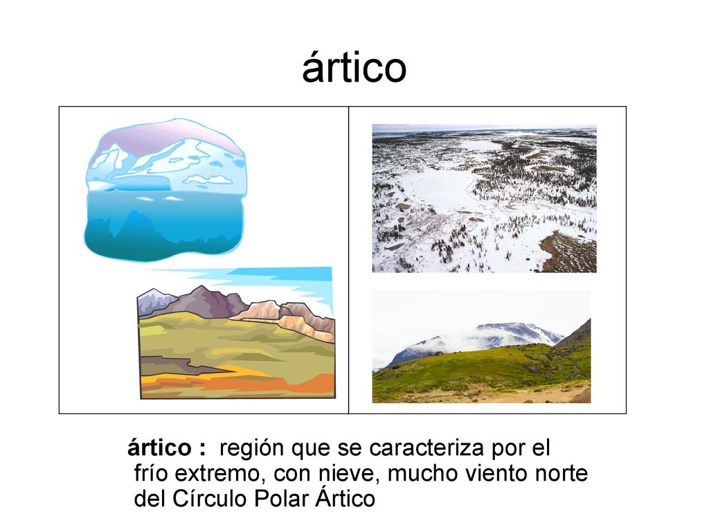 ártico ártico : región que se caracteriza por el frío extremo, con nieve, mucho viento norte del Círculo Polar Ártico.