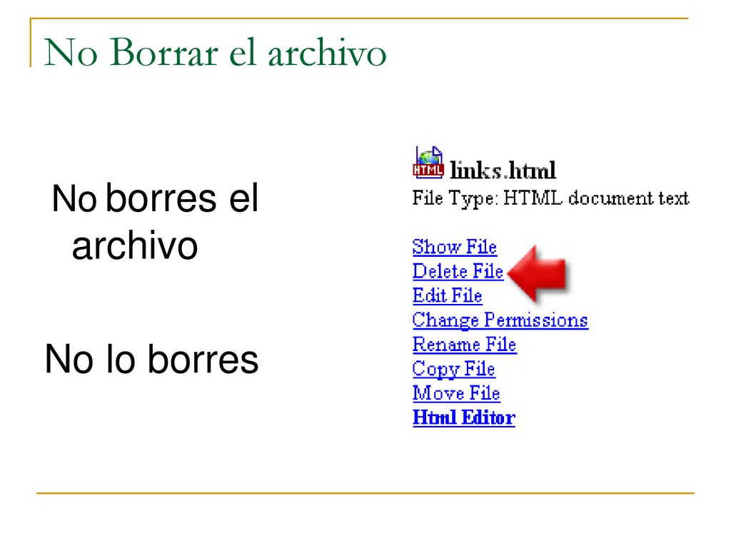 No Borrar el archivo No borres el archivo No lo borres