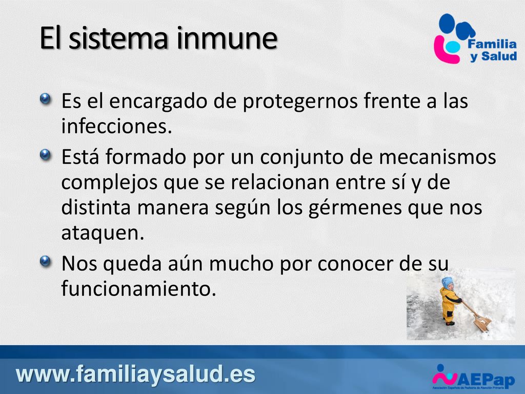 El sistema inmune Es el encargado de protegernos frente a las infecciones.