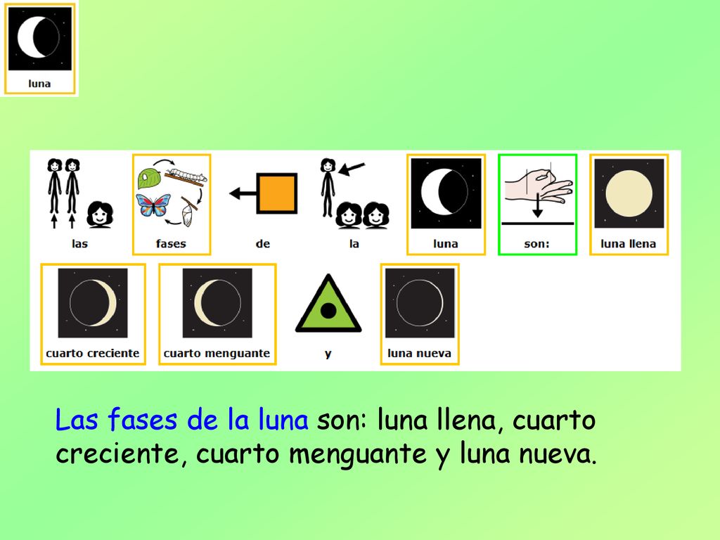 Las fases de la luna son: luna llena, cuarto creciente, cuarto menguante y luna nueva.