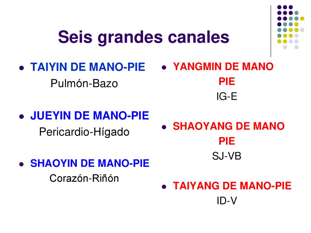 Seis grandes canales TAIYIN DE MANO-PIE Pulmón-Bazo JUEYIN DE MANO-PIE